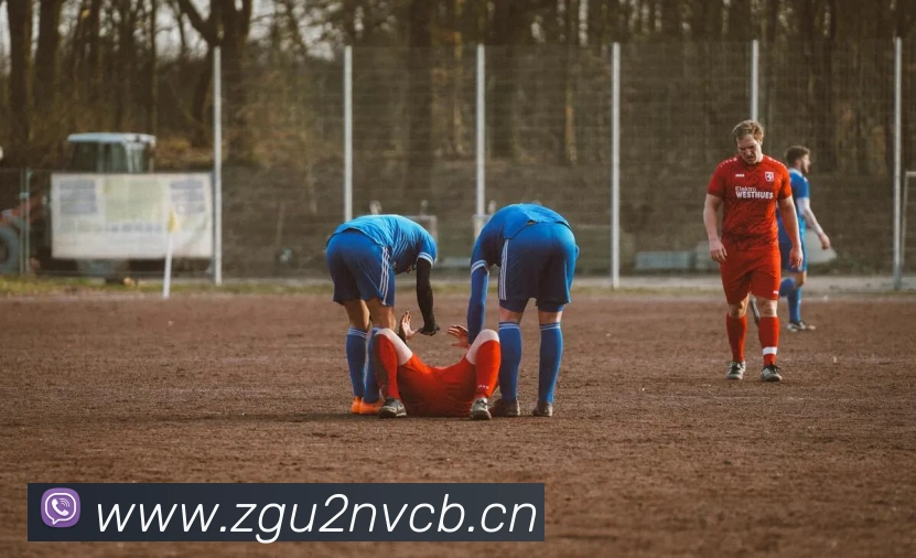 九游体育app官方首页平台生态图