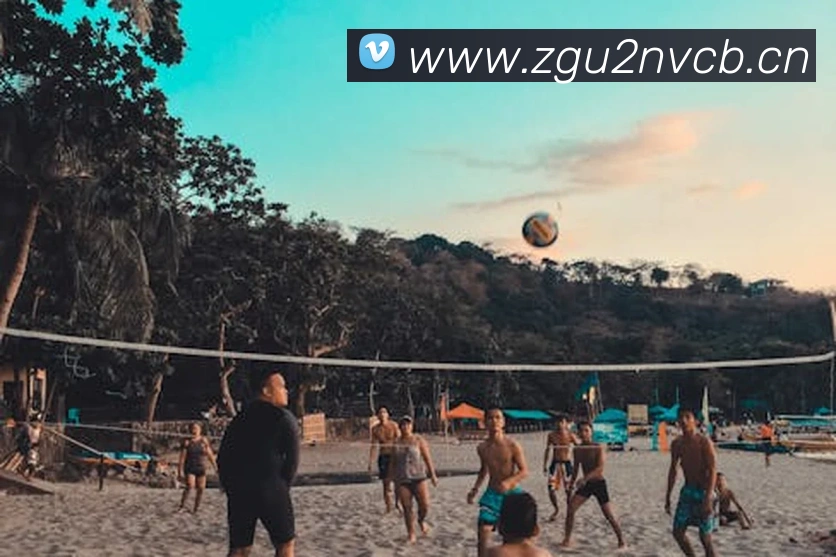 数据防护可视化